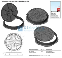 Люк тяжелый Т(С250)-2-60, h100 мм