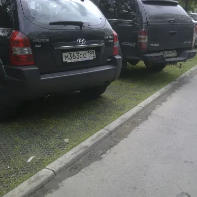 Решетка газонная Gidrolica Eco Standart РГ-70.40.3,2 - пластиковая зеленая